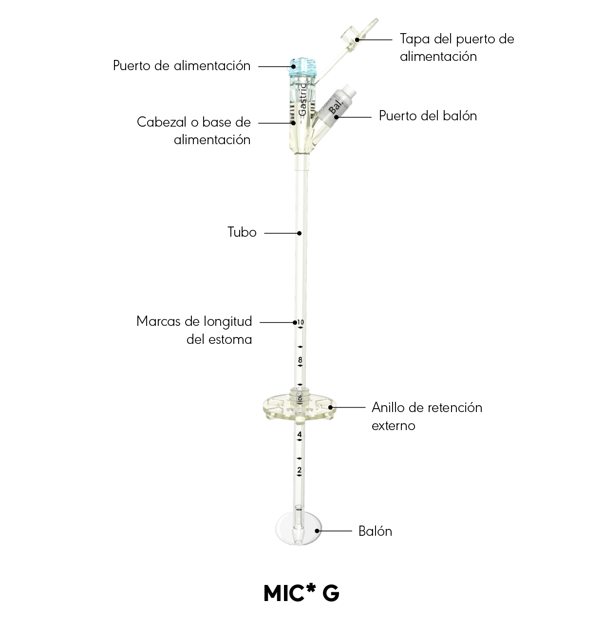 Diagrama del producto G MIC*