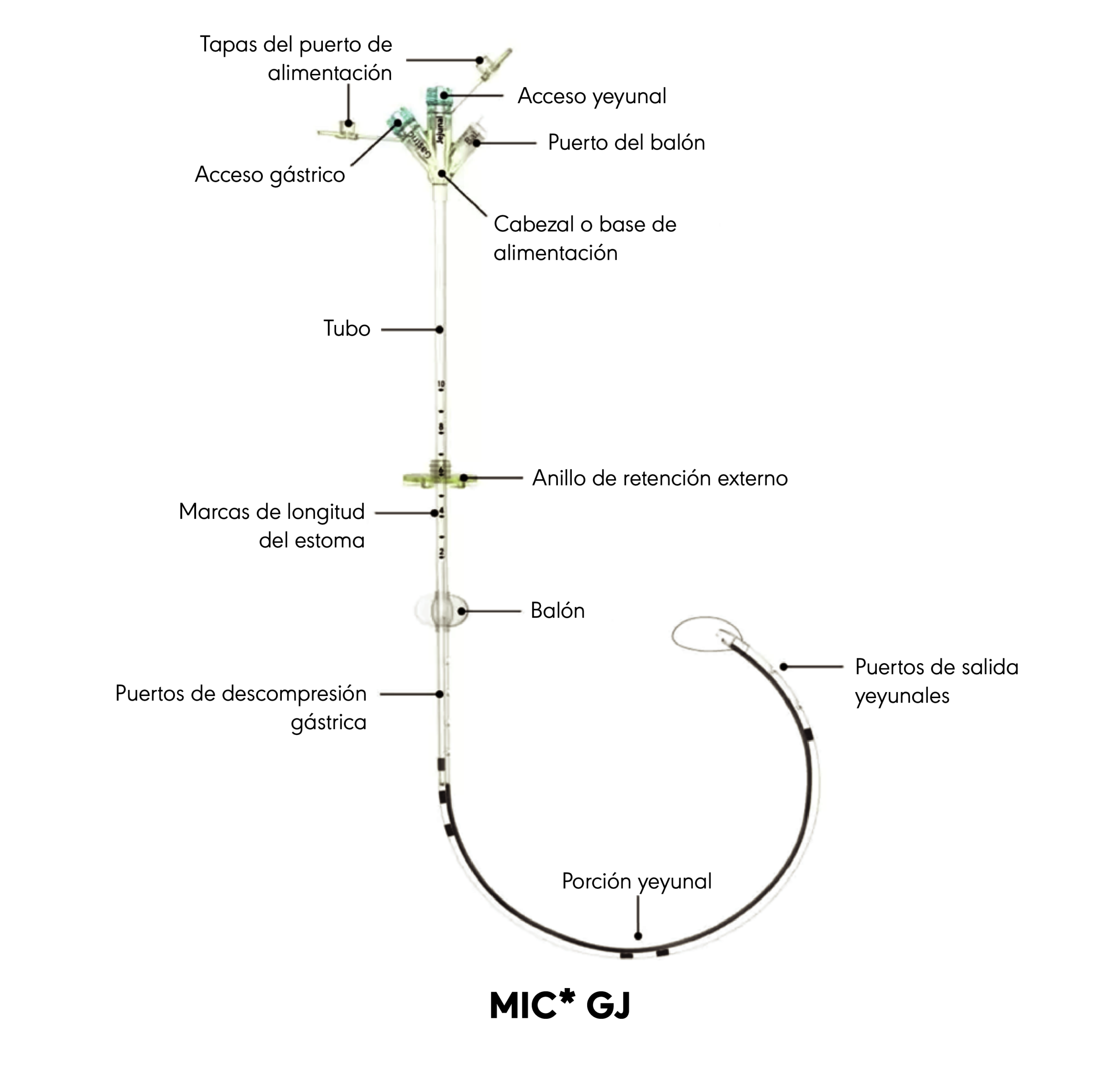 MIC* GJ product diagram