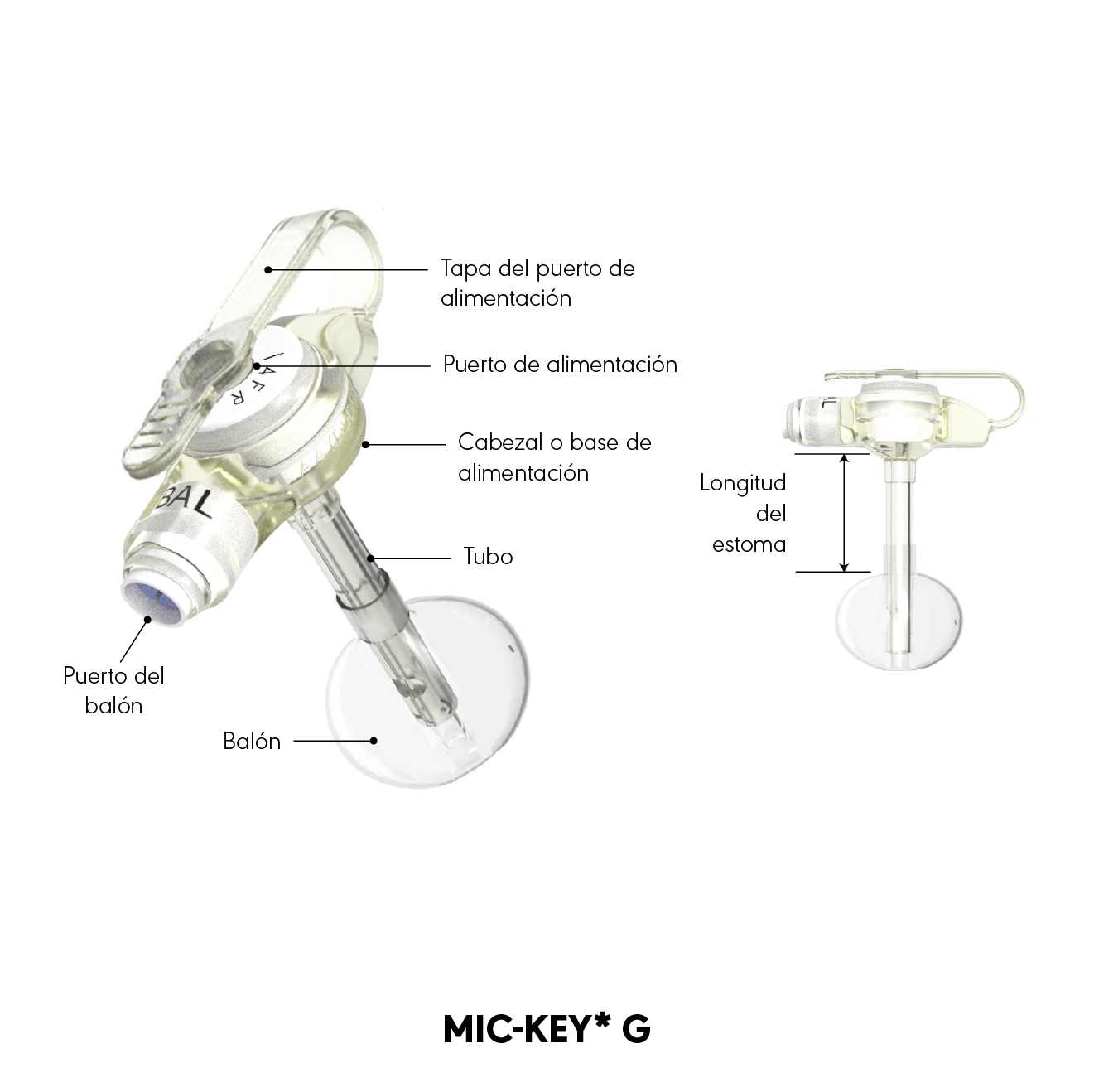 Diagrama del producto G MIC-KEY*