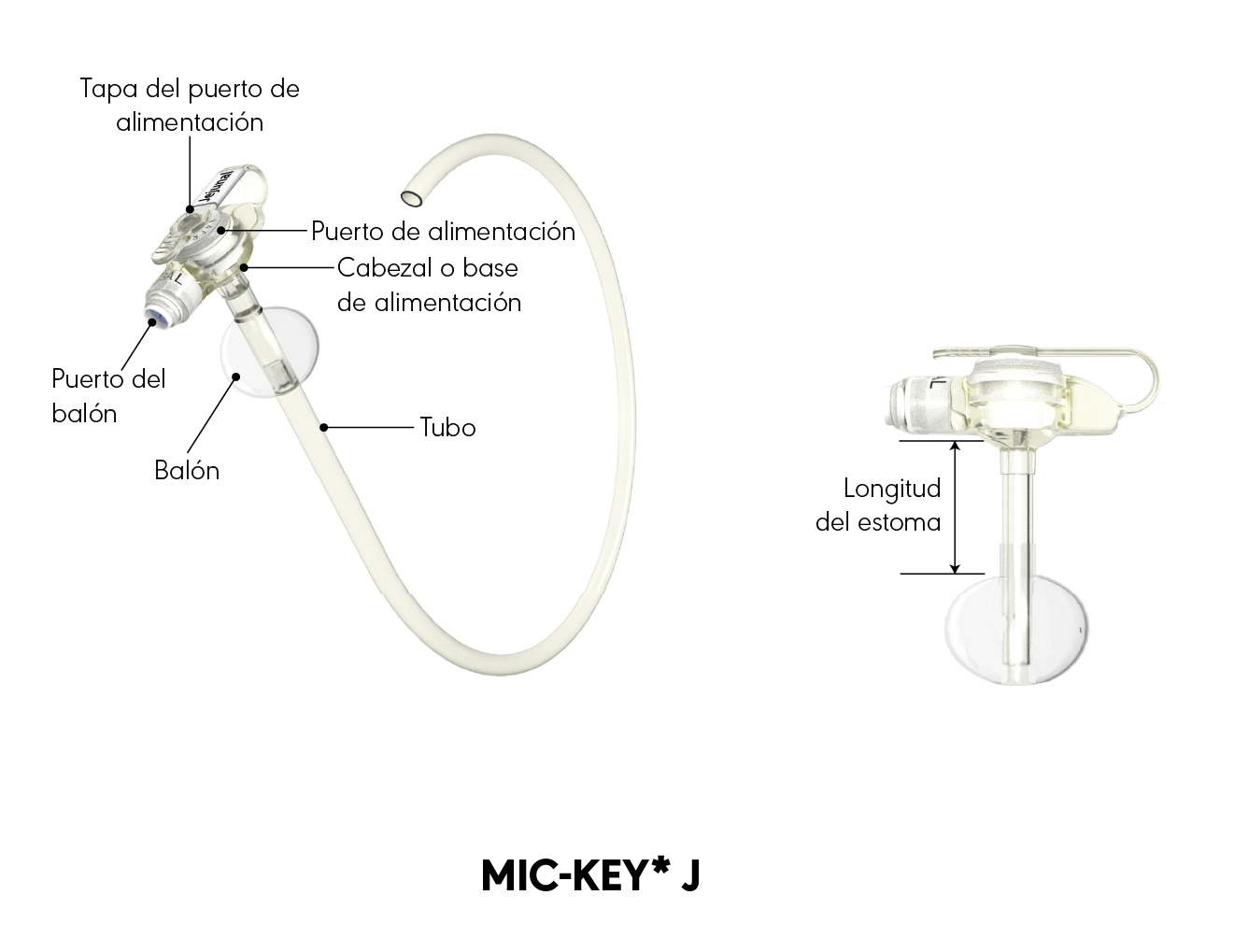 Diagrama del producto J MIC-KEY*